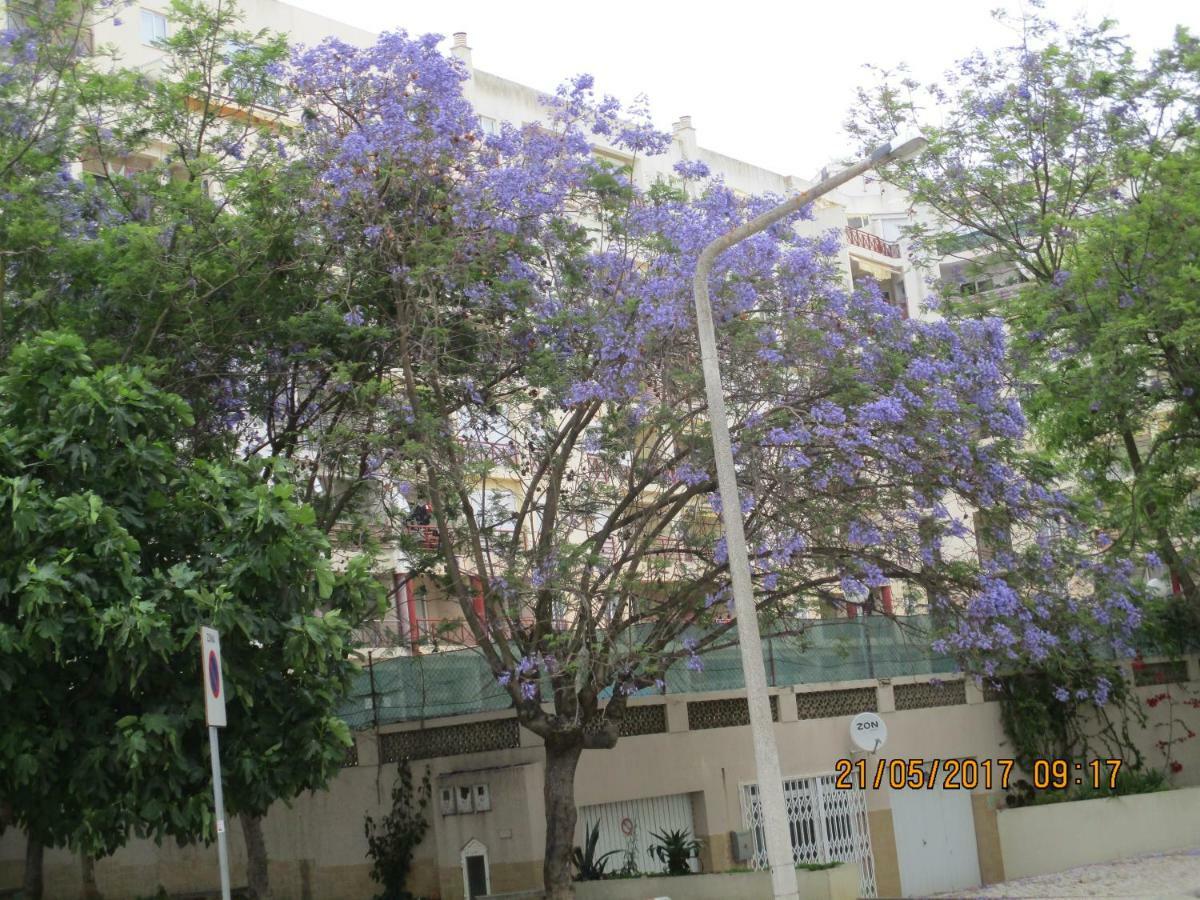 Appartamento Edificio Caique C Armação de Pêra Esterno foto